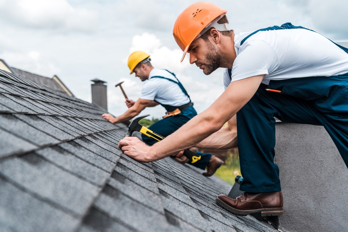two men nailing shingles on a roof